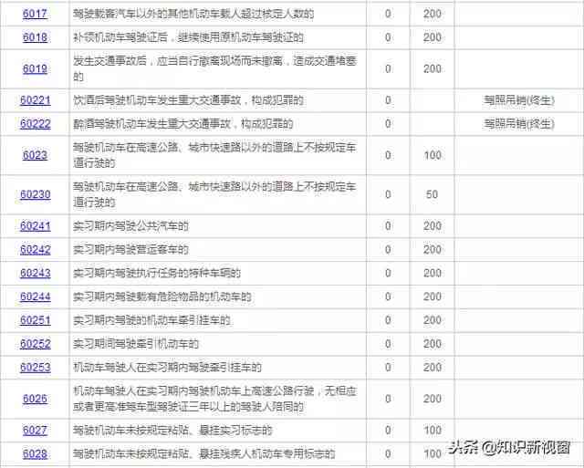 莲卫专线最新时刻表详解