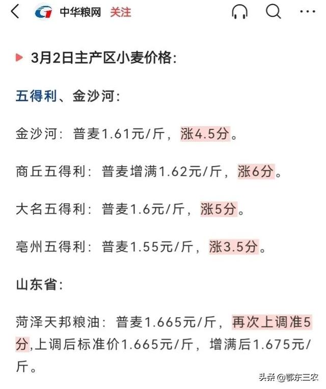 小麦最新行情价格走势及今日价格分析